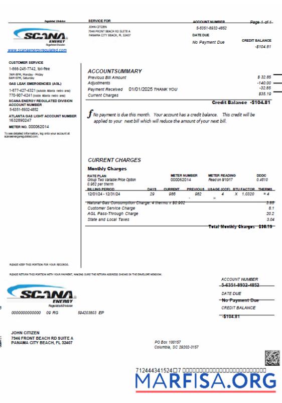 Blank USA SCANA Energy utility bill template in Word and PDF formats